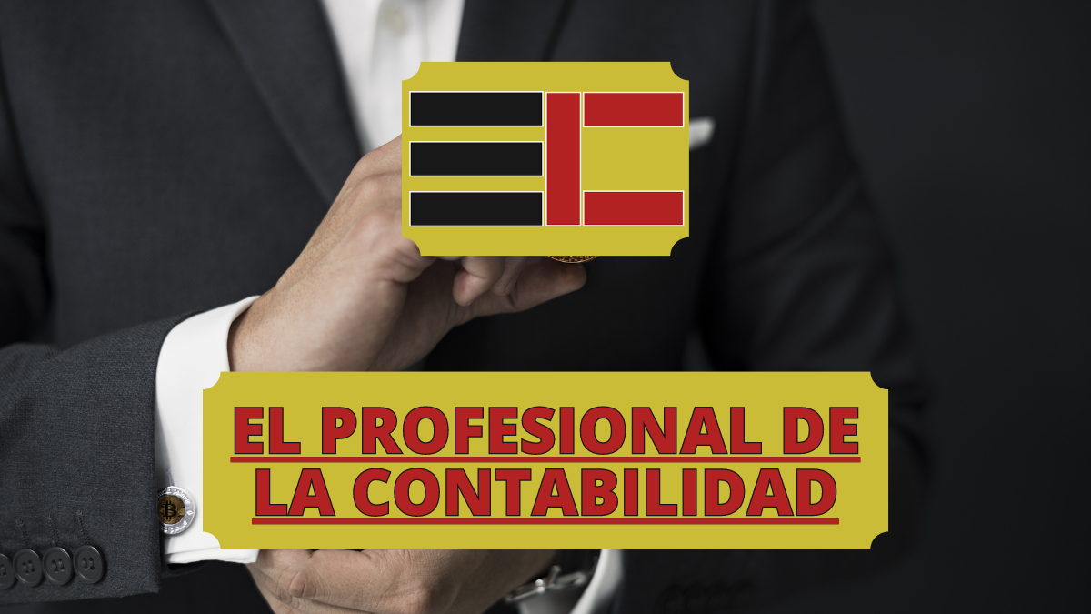 El Profesional de la Contabilidad